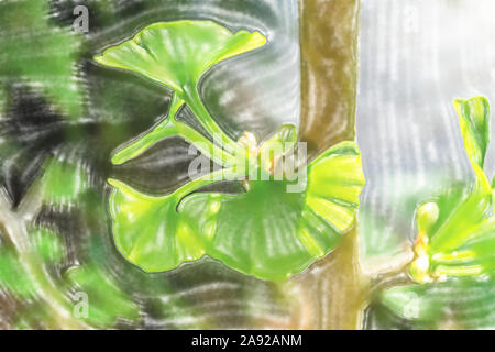 Illustration à l'aquarelle : jeunes feuilles d'un arbre de ginkgo, Ginkgo biloba, nom scientifique au printemps, close-up contre un arrière-plan flou, Pflanze Banque D'Images