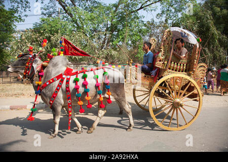 Parade d'ouverture des enfants au bouddhisme, panier à l'aide de boeufs fête habillé, village Nyaung U, région de Mandalay, Myanmar, en Asie Banque D'Images