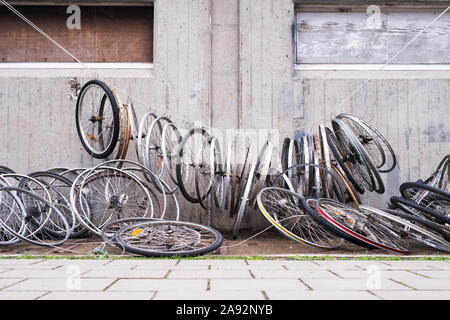 Roues de vélo Banque D'Images