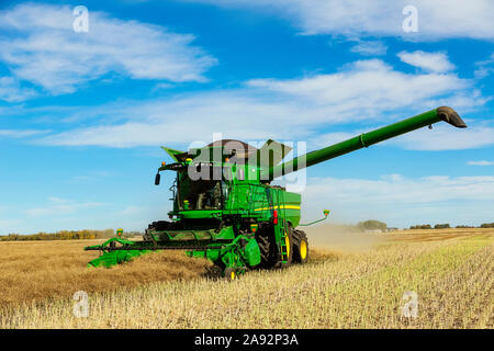 Un agriculteur conduisant une moissonneuse-batteuse avec une pleine charge prête à être transférée avec le bras de la vis de vidange déployé pendant une récolte de canola; Legal, Alberta, Canada Banque D'Images