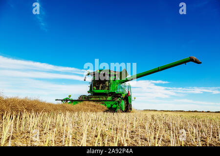 Un agriculteur conduisant une moissonneuse-batteuse avec une pleine charge prête à être transférée avec le bras de la vis de vidange déployé pendant une récolte de canola; Legal, Alberta, Canada Banque D'Images