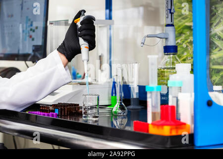 Tests de laboratoire de cannabis; Cave Junction, Oregon, États-Unis d'Amérique Banque D'Images