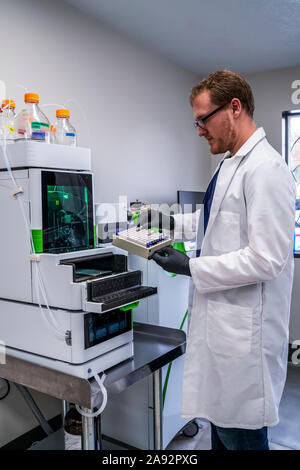 Tests de laboratoire de cannabis; Cave Junction, Oregon, États-Unis d'Amérique Banque D'Images