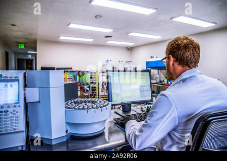 Tests de laboratoire de cannabis; Cave Junction, Oregon, États-Unis d'Amérique Banque D'Images