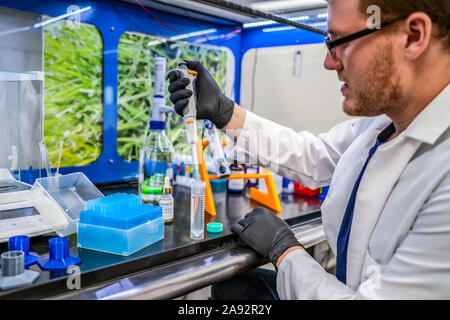 Tests de laboratoire de cannabis; Cave Junction, Oregon, États-Unis d'Amérique Banque D'Images