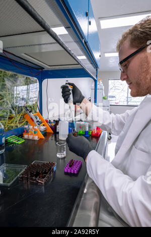 Tests de laboratoire de cannabis; Cave Junction, Oregon, États-Unis d'Amérique Banque D'Images