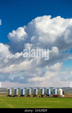 Une rangée de grandes trémies à grain en métal avec des nuages de tempête spectaculaires et un ciel bleu en arrière-plan, à l'ouest de Calgary; Alberta, Canada Banque D'Images