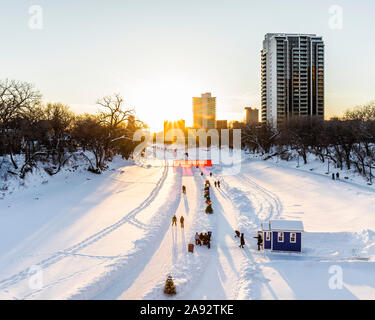 Patinage sur glace au coucher du soleil sur la rivière Assiniboine, qui fait partie de la piste mutuelle de la rivière Rouge à la fourche; Winnipeg, Manitoba, Canada Banque D'Images