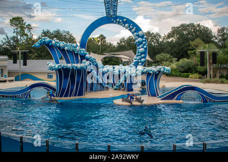 Orlando, Floride. 06 novembre, 2019. Les dauphins présentent hors de l'eau at Seaworld Banque D'Images