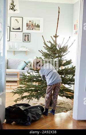 Nettoyage de l'arbre de Noël Banque D'Images