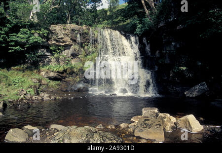 Gill est la force, Keld, Swaledale, Yorkshire Dales National Park, England Banque D'Images