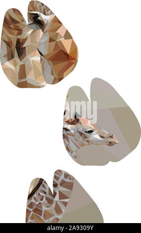 Low poly illustration d'une girafe et son enfant à l'intérieur de la forme de leurs empreintes de sabots Banque D'Images