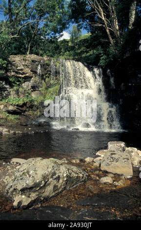 Gill est la force, Keld, Swaledale, Yorkshire Dales National Park, England Banque D'Images