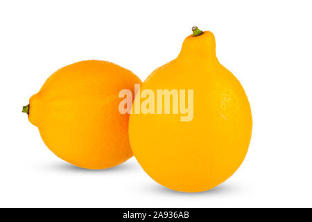 Deux citrons naturels frais, gros plan sur un fond blanc. Banque D'Images