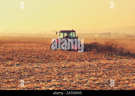 Coucher de soleil rouge tracteur moderne re cultive du chaume après la récolte de maïs d'automne par paillage, Brume de poussière à l'horizon Banque D'Images