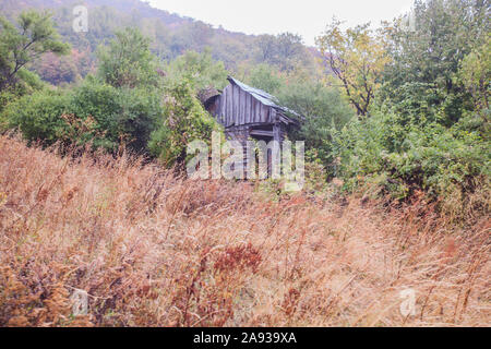 Ruine abandonnée cabane en bois, paysage rural. Matin d'automne brumeux. Banque D'Images