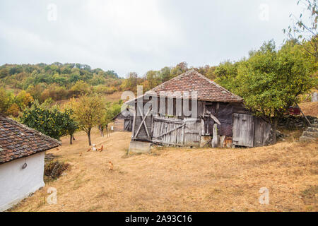 Ruine abandonnée cabane en bois, paysage rural. Matin d'automne brumeux. Banque D'Images