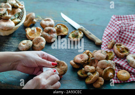 La femme est le nettoyage des champignons dans la cuisine. Banque D'Images