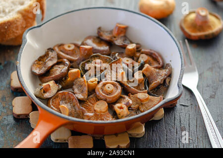 Poêlée de champignons dans le lait de l'épinette la poêle sur la table en bois Banque D'Images