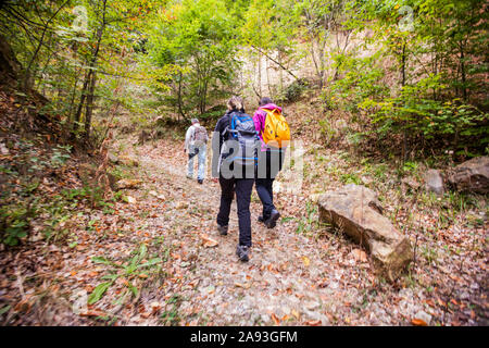 Groupe de gens actifs randonnées sur la journée d'automne pluvieuse vêtu d'un imperméable. Du vrai méconnaissable randonneurs, rétroviseurs, ciel nuageux dans l'arrière-plan. Banque D'Images