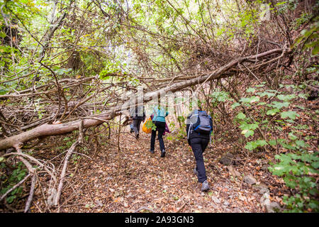 Groupe de gens actifs randonnées sur la journée d'automne pluvieuse vêtu d'un imperméable. Du vrai méconnaissable randonneurs, rétroviseurs, ciel nuageux dans l'arrière-plan. Banque D'Images