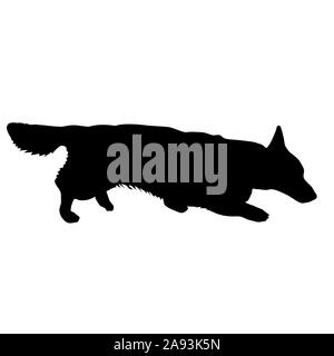 Welsh Corgi chien silhouette sur un fond blanc. Banque D'Images