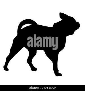 Chihuahua dog silhouette sur un fond blanc. Banque D'Images