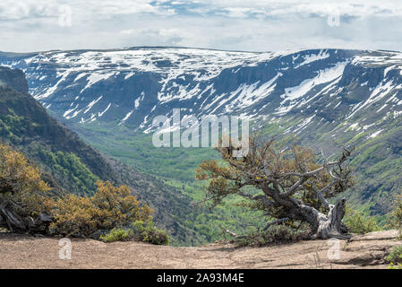 Acajou de montagne au-dessus de peu de Blitzen, Gorge de montagne Steens, Oregon. Banque D'Images