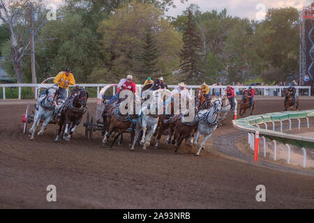 Le Stampede de Calgary courses de chariots, ils round le premier coin, trois de large, et dans un hourra Banque D'Images