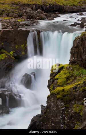 Sveinsstekksfoss cascade de Fossa river sur fjord Berufjordur easterrn en Islande Banque D'Images