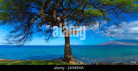 Kamaole une et deux plages, Kamaole Beach Park ; Kihei, Maui, Hawaii, États-Unis d'Amérique Banque D'Images