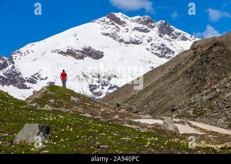 Le mont Silvertip s'élève au-dessus d'un homme dans une prairie alpine près de Thayer Hut dans la chaîne de l'Alaska; Alaska, États-Unis d'Amérique Banque D'Images