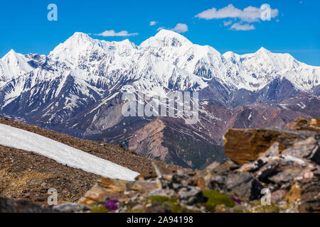 Vue d'été de McGinnis Peak (à gauche), Mount Moffit (au centre) et Mount Hayes (à droite) dans l'est de la chaîne de l'Alaska; Alaska, États-Unis d'Amérique Banque D'Images