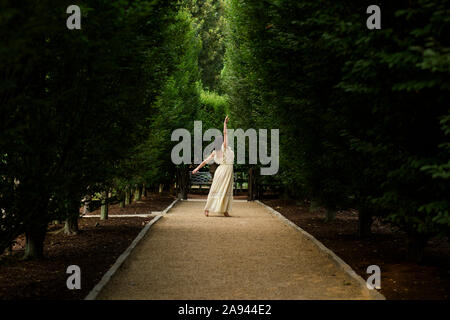 Vue arrière d'une femme dansant pieds nus sur le chemin bordé d'arbres dans la lumière d'or Banque D'Images