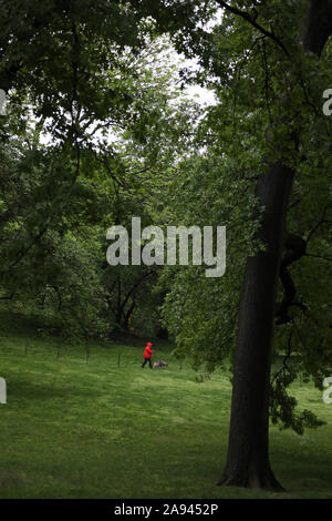 Woman Wearing Red Jacket promenades son chien en vert de Central Park Banque D'Images