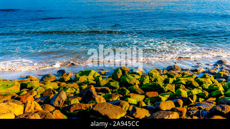 Roches couvertes de mousse sur la rive le long de la côte de la Nouvelle-Zélande; Île du Sud, Nouvelle-Zélande Banque D'Images