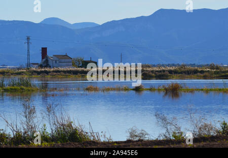 Parc naturel de s'Albufera, une zone humide d'importance internationale dans la région de Valence, est de l'Espagne Banque D'Images