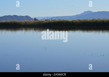 Parc naturel de s'Albufera, une zone humide d'importance internationale dans la région de Valence, est de l'Espagne Banque D'Images