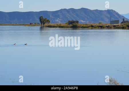 Parc naturel de s'Albufera, une zone humide d'importance internationale dans la région de Valence, est de l'Espagne Banque D'Images