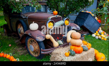 Présentoir de citrouilles avec vieux véhicule décorant une cour; Canada Banque D'Images