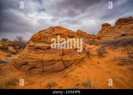 Les étonnantes formations de grès et de roche de South Coyote Butte ; Arizona, États-Unis d'Amérique Banque D'Images