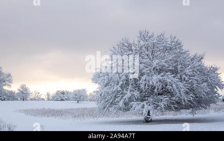 Promenade dans le parc après une tempête hivernale, photos de paysage d'hiver dans le parc à Wyomissing, comté de Berks, en Pennsylvanie Banque D'Images