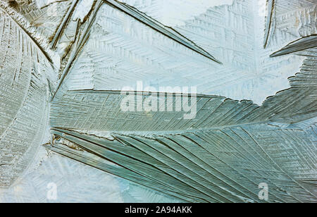 Image détaillée de la formation de glace mince Banque D'Images