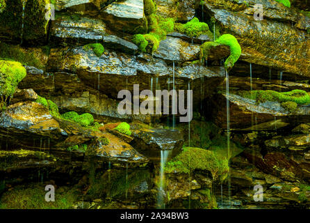 Weeping Moss Wall ; Nouvelle-Zélande Banque D'Images