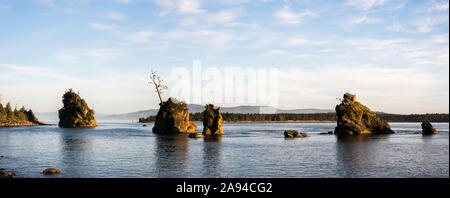 Les trois Graces se trouvent dans la baie de Tillamook sur la côte de l'Oregon; Bay City, Oregon, États-Unis d'Amérique Banque D'Images