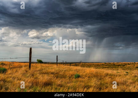 Nuages de tempête et précipitations dans les champs des Prairies; Saskatchewan, Canada Banque D'Images