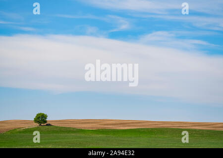 Grand ciel bleu et blanc sur le paysage plat des prairies; Saskatchewan, Canada Banque D'Images