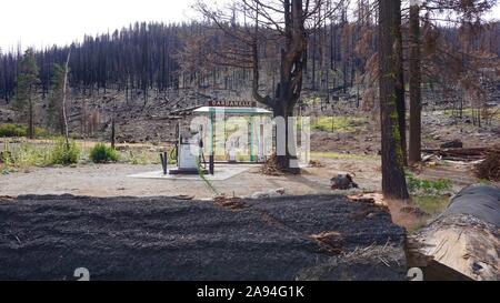 La pompe d'essence abandonnés Dardanelle, laissés là par Donnell incendie. Les arbres des forêts brûlées dans la Forêt Nationale Stanislaus sur l'autoroute 108, en Californie. Banque D'Images