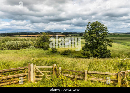 La rivière traverse les champs près de Crookham Village; Northumberland, Angleterre Banque D'Images