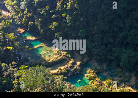 Semuc Champey, Guatemala Banque D'Images